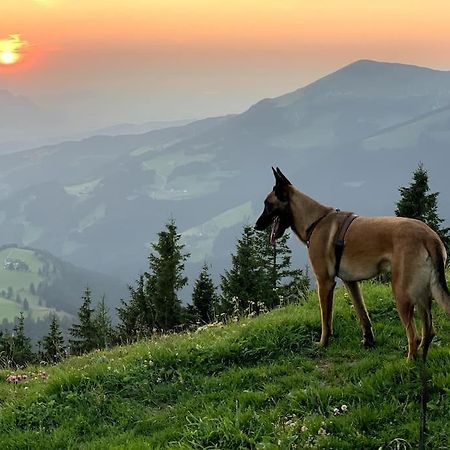 Apartmán Urlaub Mit Hund Im Salzburger Land Wegscheid Exteriér fotografie